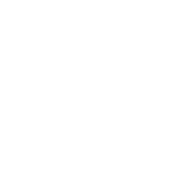 BigFish Boxing